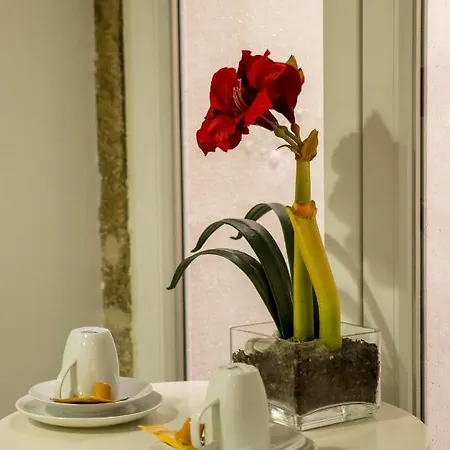 Fanqueiros 204 - Old Town 아파트 *