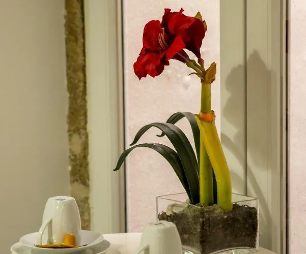 Fanqueiros 204 - Old Town Διαμέρισμα *